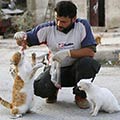 Syrian Ambulance Driver Feeds Orphaned Cats