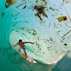 Surfer Gliding Through Trash-Filled Wave